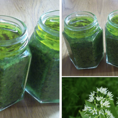 Ail des ours - La ruée.... vers le pesto