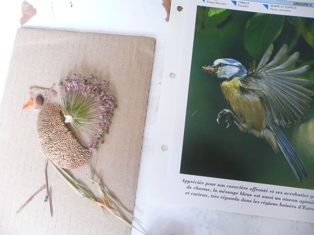 Album - Jardin des 5 sens Ecole maternelle &amp; Primaire Parthenay