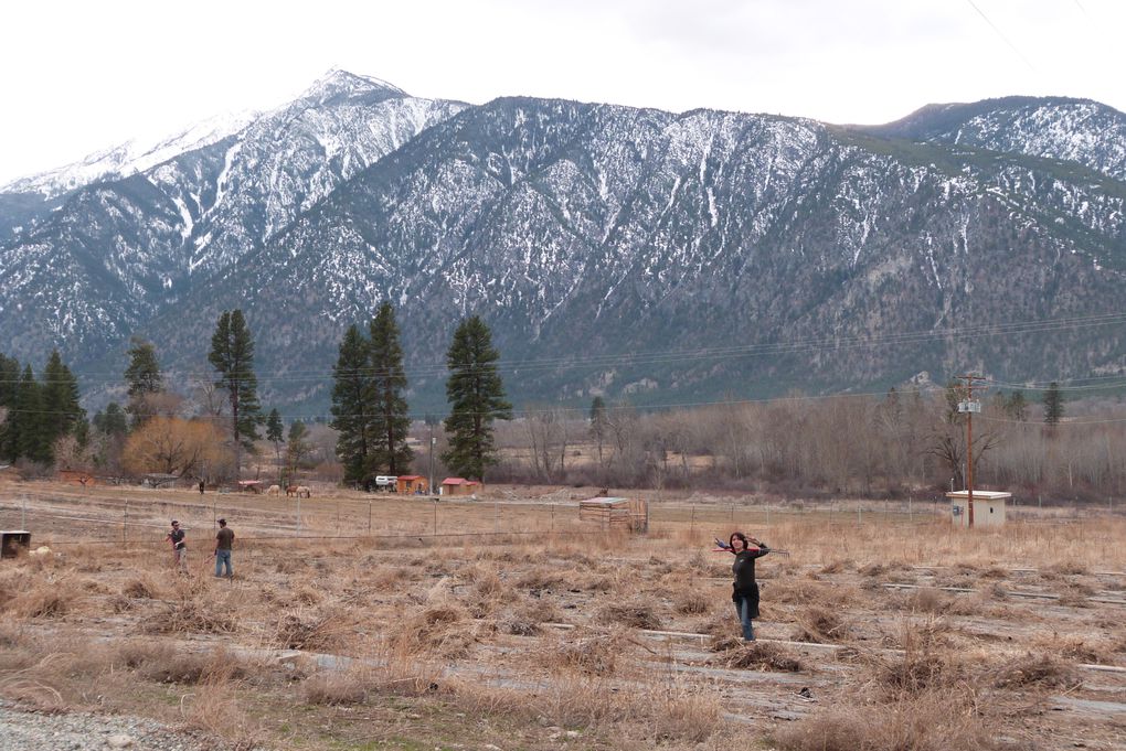 2 semaines passées dans une ferme à Cawston, dans le sud de la colombie britannique. Ce village est située dans la vallée de l'Okanagan, près de Osoyoos où débute le désert canadien. Ce désert canadien s’étend de la frontière américaine