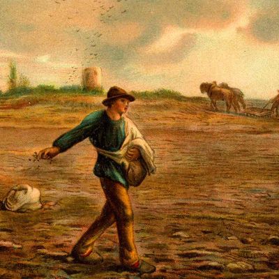 Evangile du Samedi 17 Septembre « Ils regardent sans regarder, ils entendent sans comprendre » (Lc 8, 4-15)