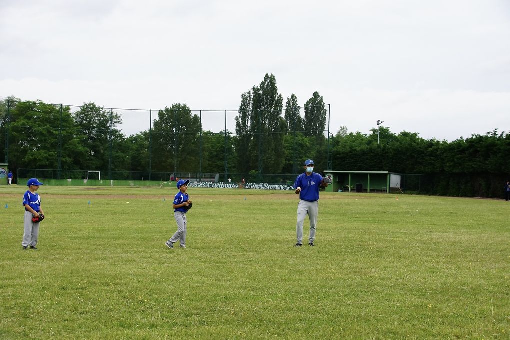 U9 - Tigers vs Cougars et French Cubs