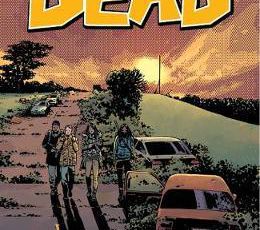 Walking dead : 29. La ligne blanche.