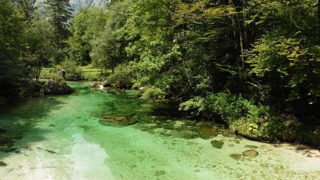 Les eaux du lac Bohinj, du côté d'Ukanc ...