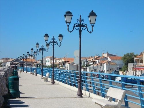 Une journée en Camargue...