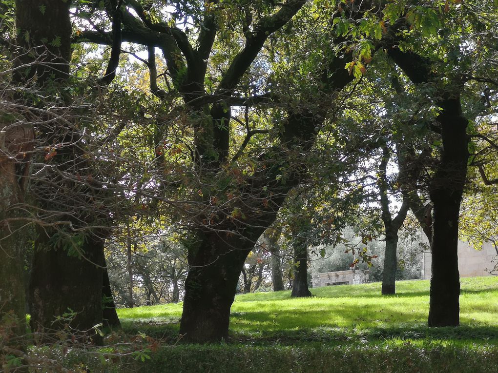 PÈLERINAGE DIOCÉSAIN À SAINT JACQUES DE COMPOSTELLE, SEPTEMBRE 2023