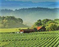 #Moscato Producers Southern California  Vineyards 