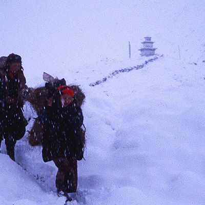 Himalayas en toutes saisons