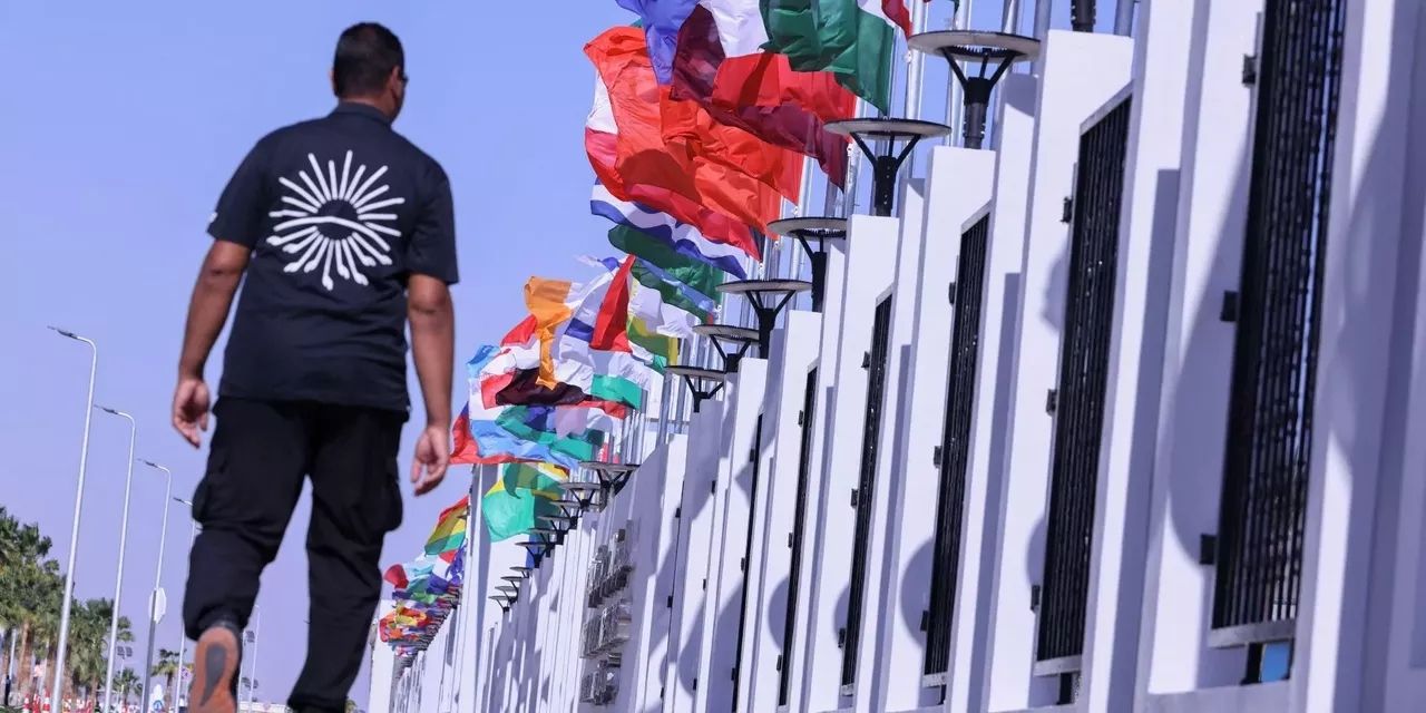LA MARCHE DU MONDE (2301) : SAMEDI 19 NOVEMBRE 2022