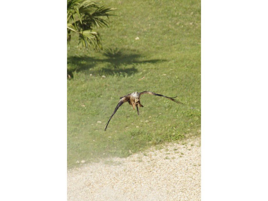 visite au ZOO Beauval.