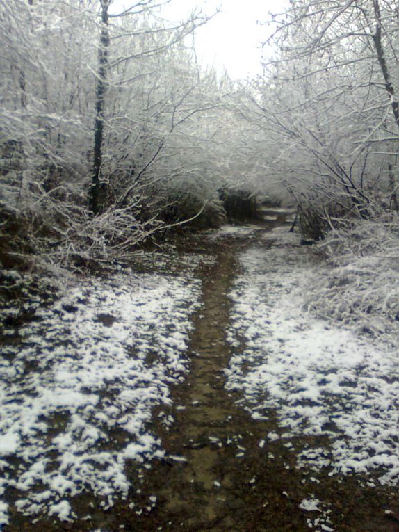 Album - 2009-02-08 - sortie avec la neige