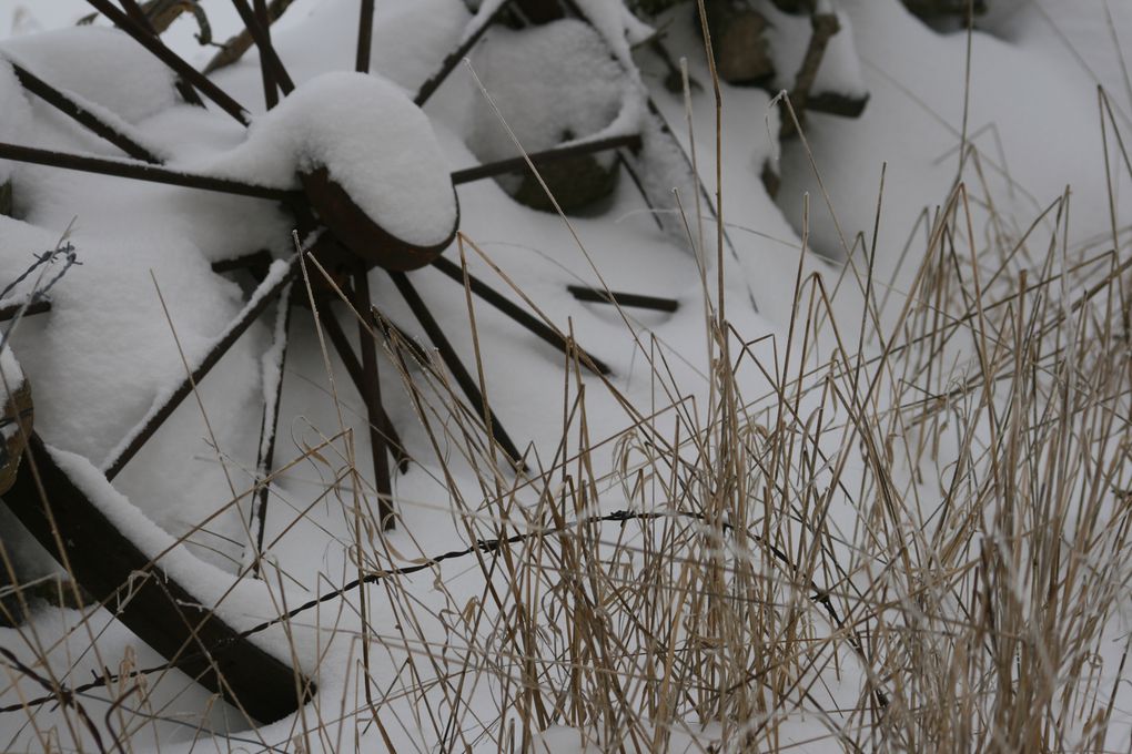 Ballade dans la neige à Séverac...
Le 10 Janvier 2010