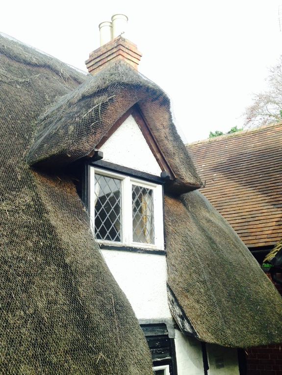 Apprendre à mieux se nourrir, dans un vrai cottage anglais