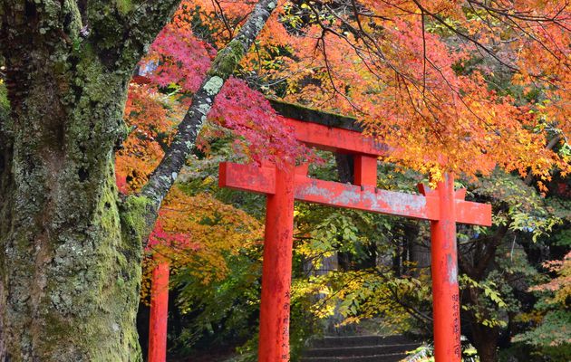 Sanctuaire Arikoyama Inari Jinja (Izushi)