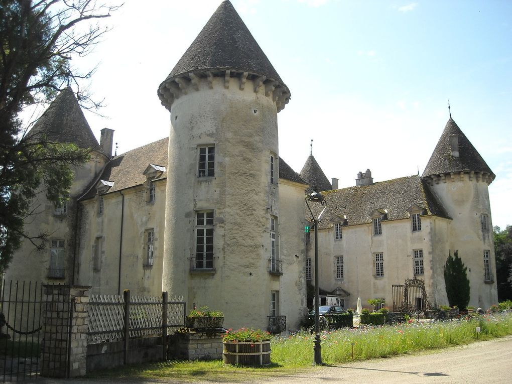 Visite du Musée de Savigny les Beaune