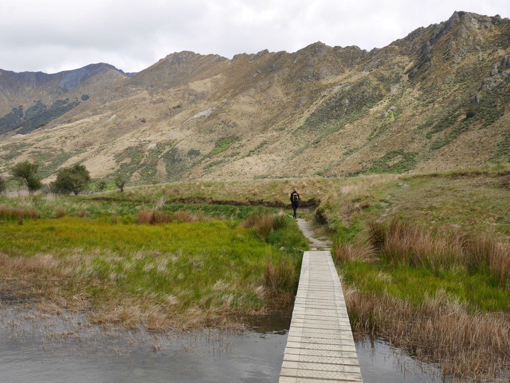 Queenstown (lake Wakatipu) et alentours (Moke Lake)