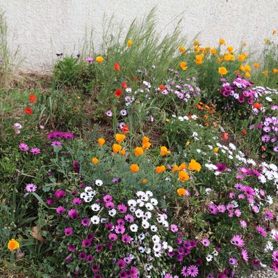 Quand une cité portuaire se retire dans les terres