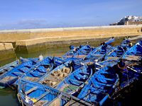 Les barques bleues sont indissociables d'Essaouira, un peu comme les tulipes le sont de la Hollande. Elles ne sont pas seulement une décoration, mais aussi l'outil des pêcheurs...bichonnées, choyées, aimées, admirées, adulées et surtout protégées, elles sont les petites stars du ports et se laissent admirer et photographier comme de véritables actrices de cinéma.