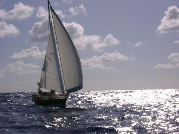 Les photos de la Traversée, certaines sont prises du Millepertuis, d'autres du Seizh Avel.
Millepertuis a un spi bleu et blanc et Seizh Avel a un spi rouge et blanc.
Que de bons moments.