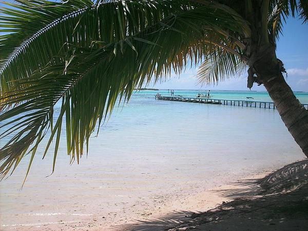  Trois jours sur Moorea, détente aux Tipaniers, plongées et randonnée. 