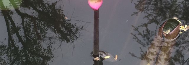 Sérénité