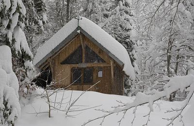 Les deux cousines par Marion