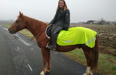 Une balade à cheval !