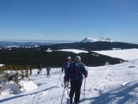 3ème sortie de ski de randonnée le mercredi 13 février 2019 : Mézenc - Alambre