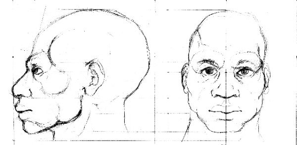 Mes travaux réalisés dans le cadre de ma formation d'Illustration Médicale et Scientifique (IMS).