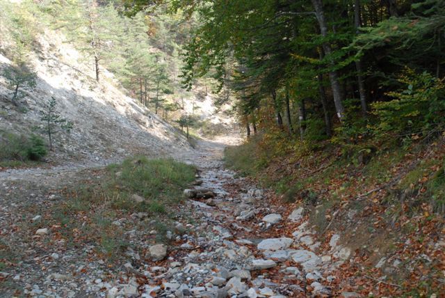 Photos de randonnées dans les massifs du Vercors et du Dévoluy