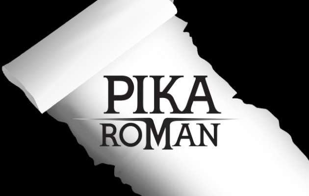 News # 4 : Pika se lance dans le Light Novel!