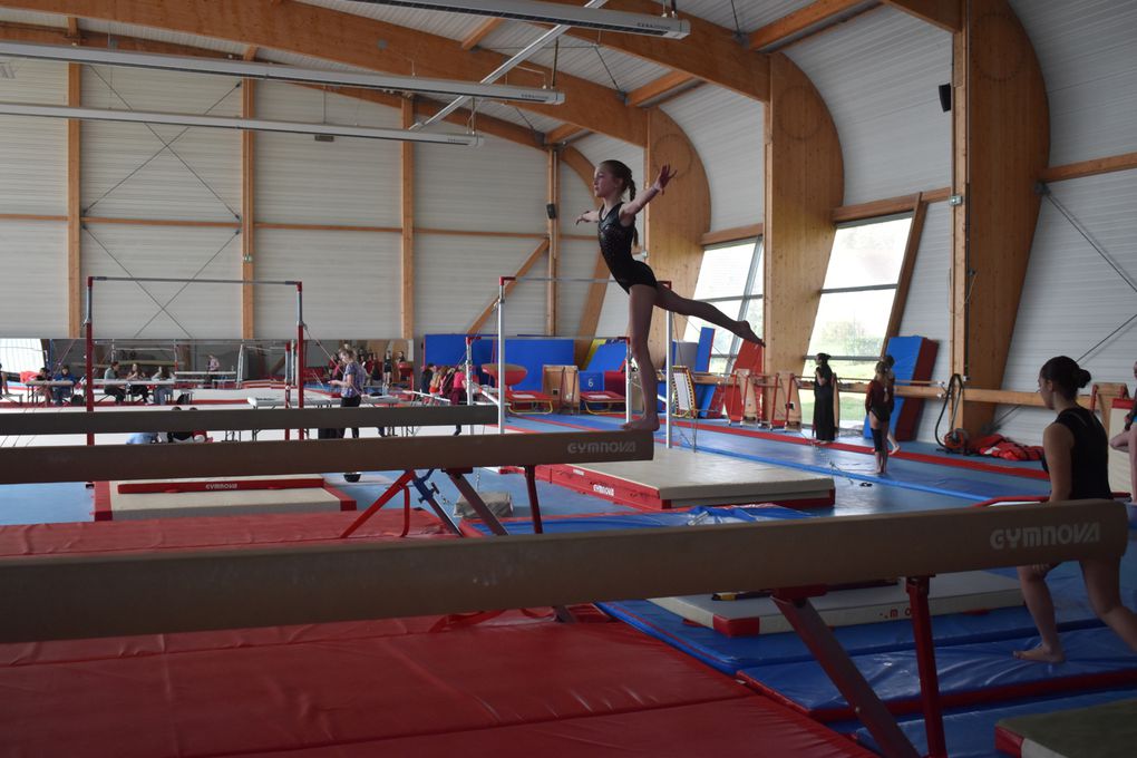 CHAMPIONNAT DEPARTEMENTAL GYMNASTIQUE 2023/2024