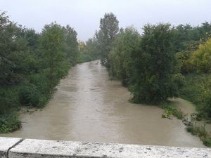 CIOCIARIA NEWS Fiume Liri invaso dalla schiuma bianca: la segnalazione di alcuni residenti 