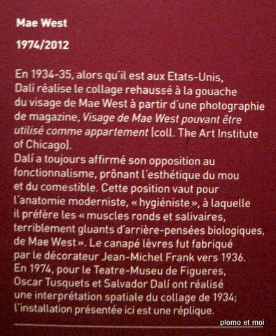 Visite Exposition Dali 31 janvier 2013