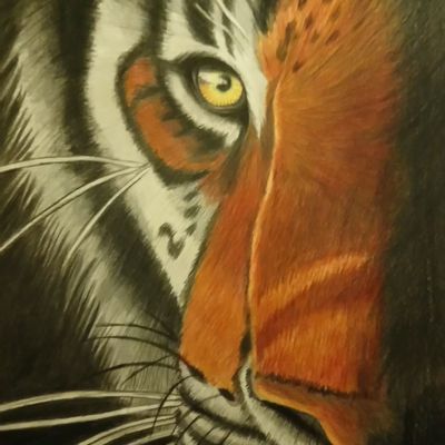 Tigre (en crayon de couleur)