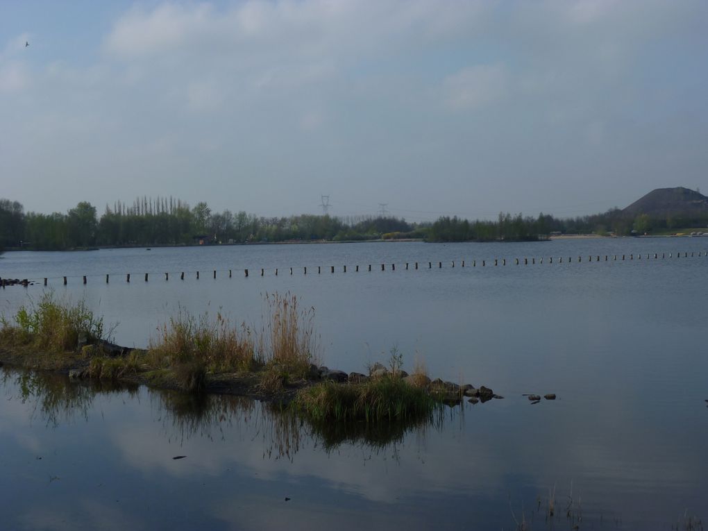 les étangs du nord , terrils et autres