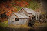 #Red Barbera Wine  Producers Virginia Vineyards