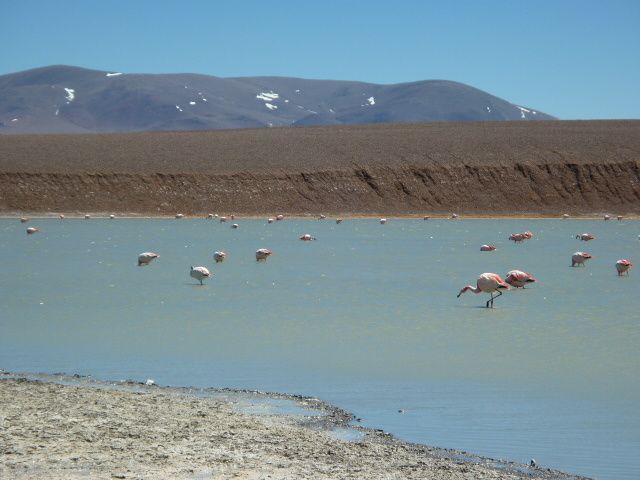 Album - 03.Argentine Nord-Ouest