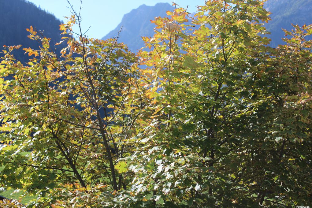 Album - Champagny automne