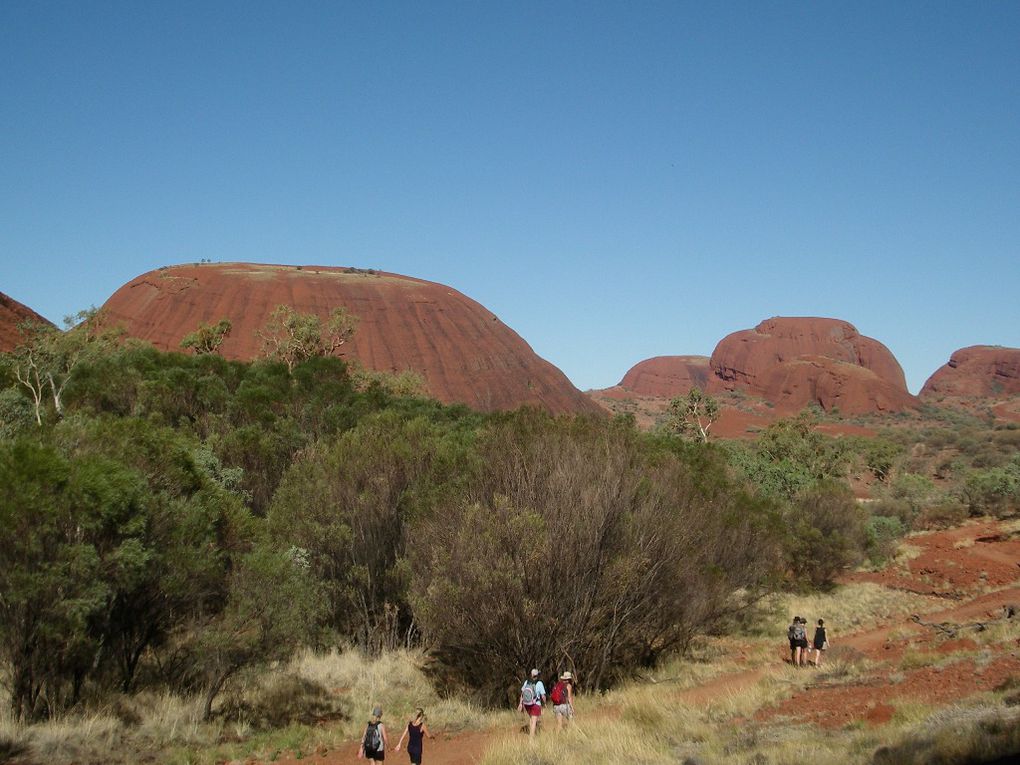 Album - The-Ultimate-Oz-Experience-2--Outback--The-Olgas---Ayers-Rock---Kings Canyon