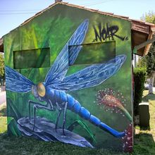 Street-art dans la ville : libellule, serpent et abeille...