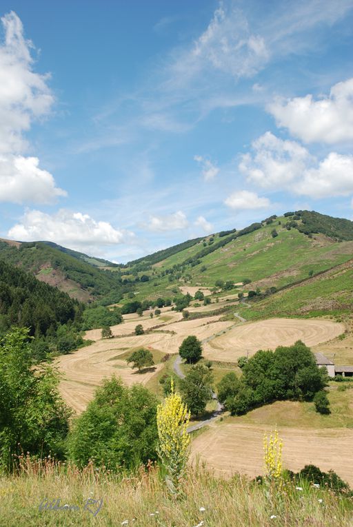 Rando VTT dans la vallée Borgne- col de l'Espinas. Cols Salides. Les plantiers - Mont Aigoual.