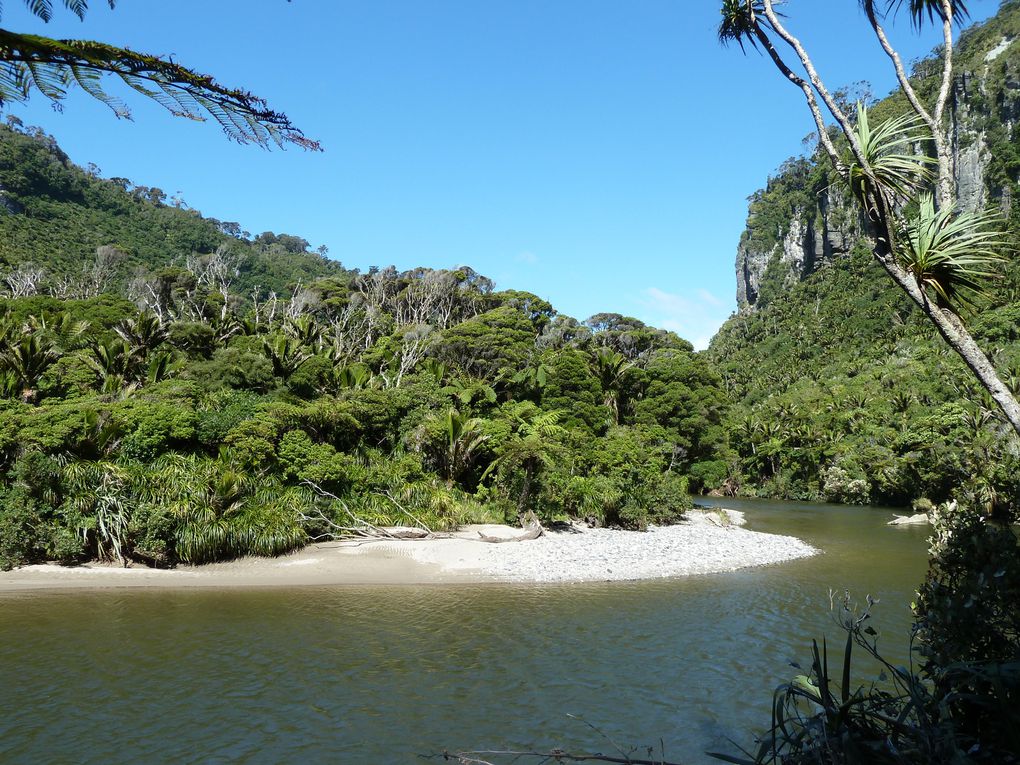 Album - NZ-entre-greymouth-et-westport