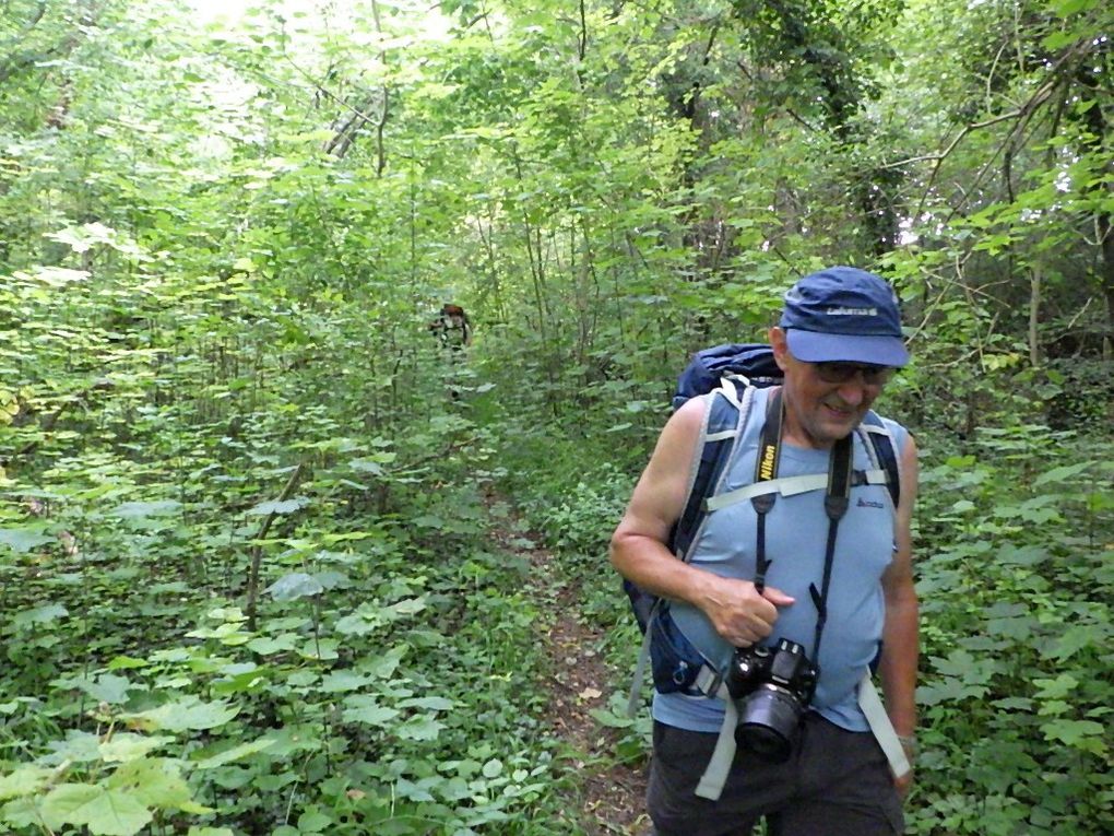 Retour " très végétal" mais journée bien terminée. 