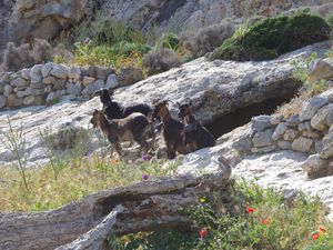 2017 - 07 ASTYPALAIA.