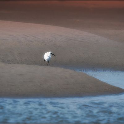 Dans les dunes de grande solitude