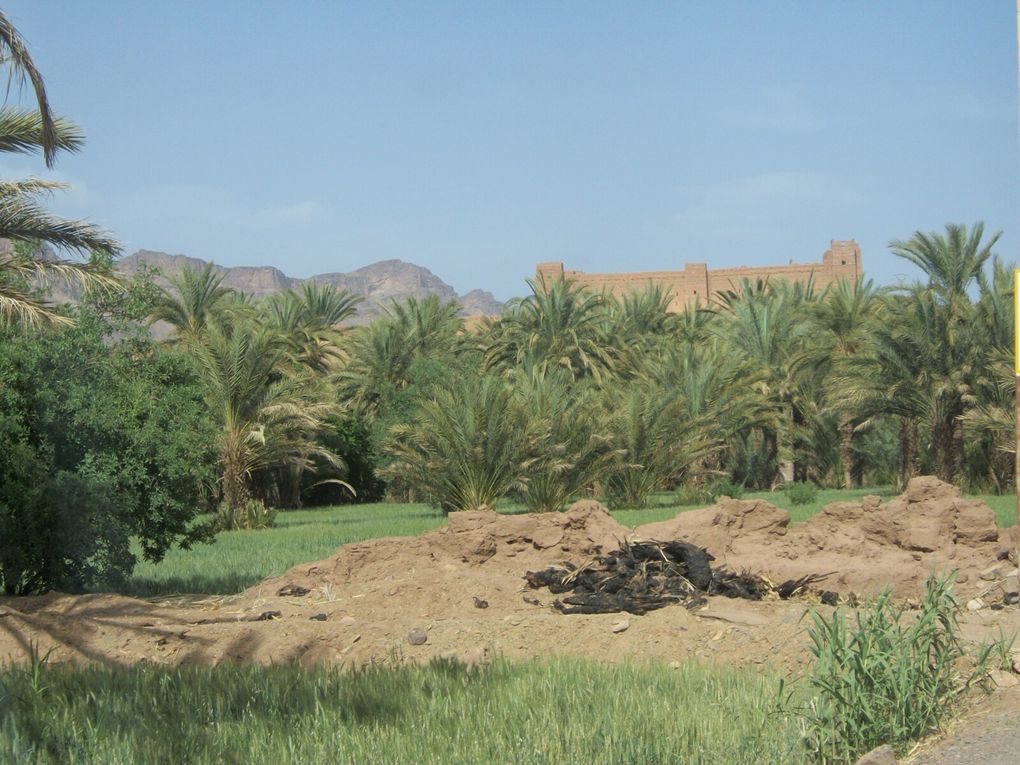Maroc mars avril 2018