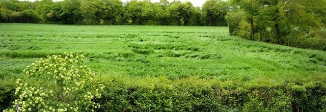 Crop circles et ovni à Bloux dans l'Allier le dimanche 22 avril 2018