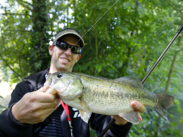 Du Bass dans les tanières