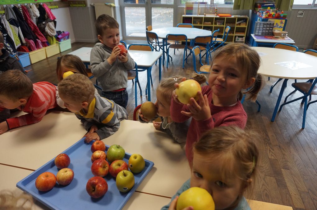 Semaine du goût pour la classe de PS-MS : Les pommes.