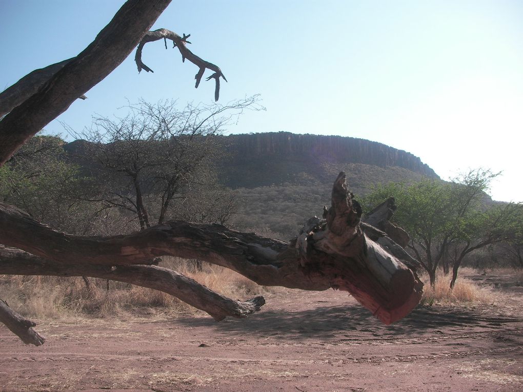 Album - Namibie